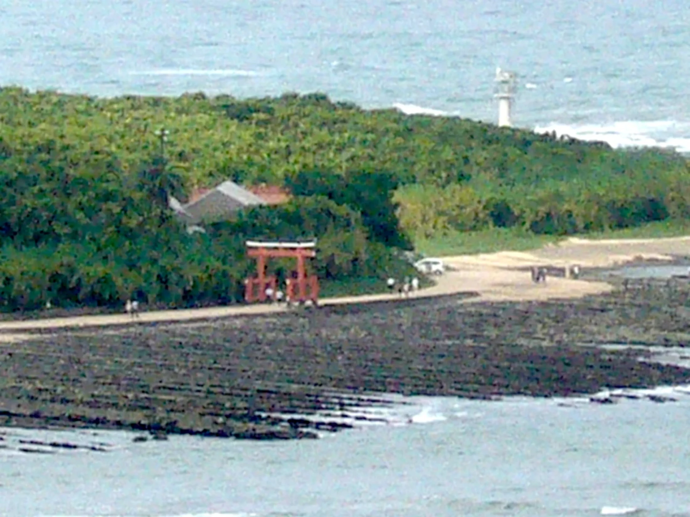 やや高台から青島神社を撮影