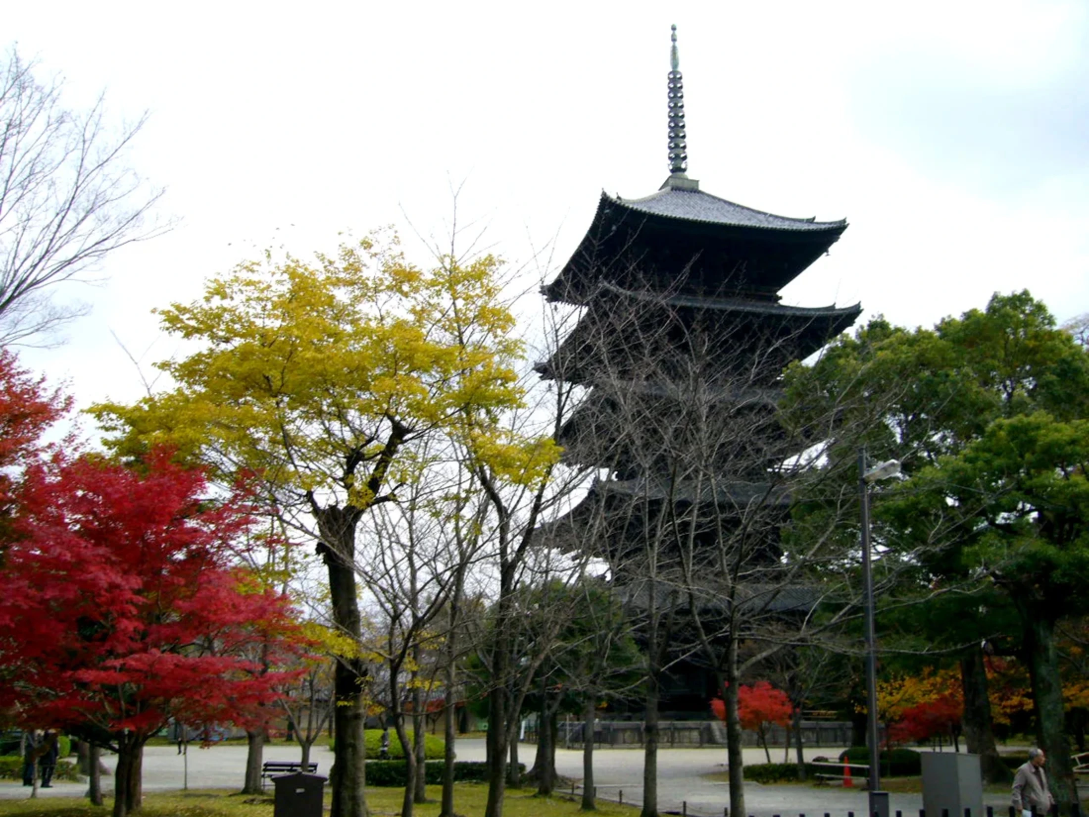 紅、黄、緑の３色の木と、五重塔