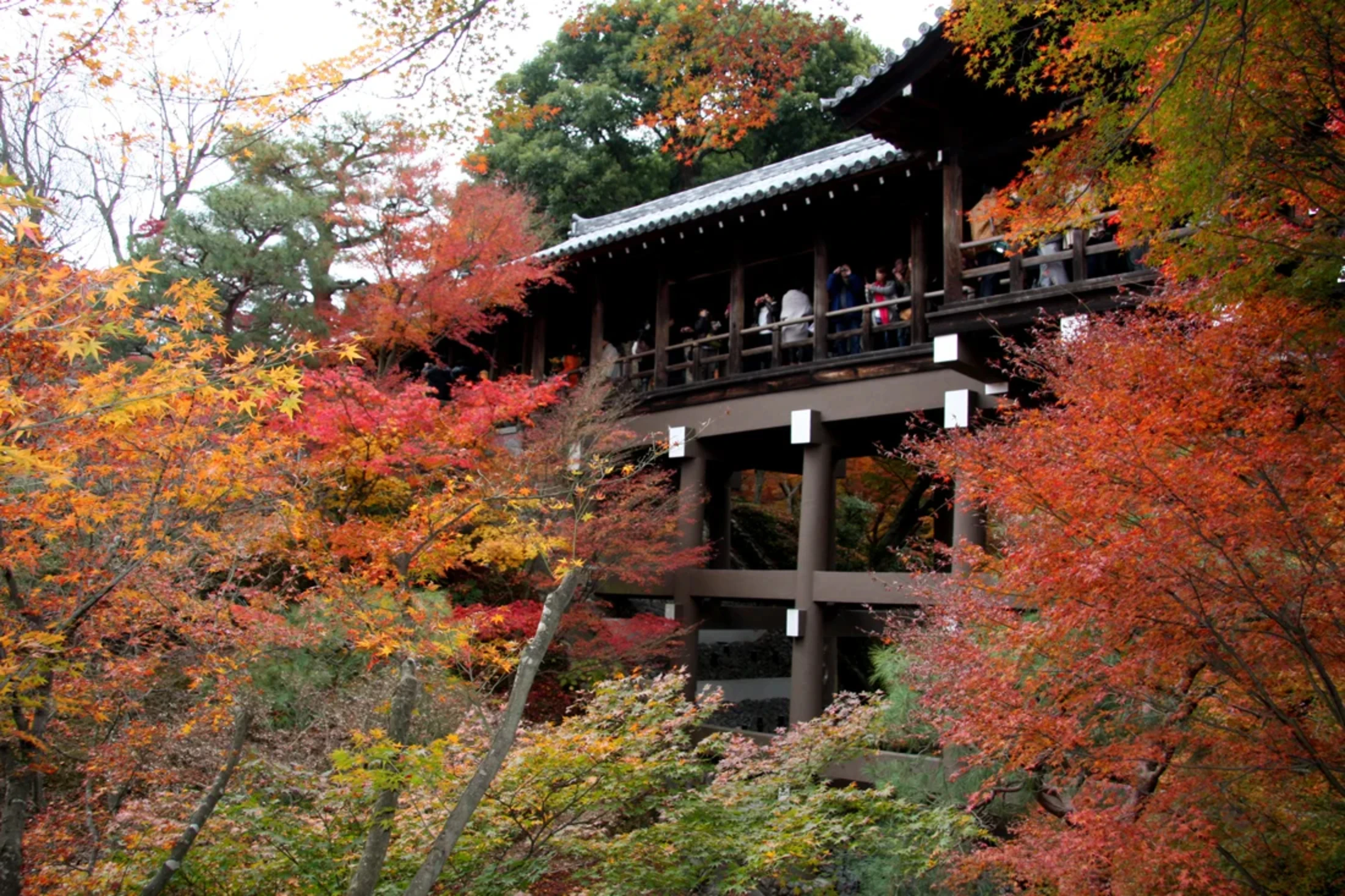 通天橋の紅葉