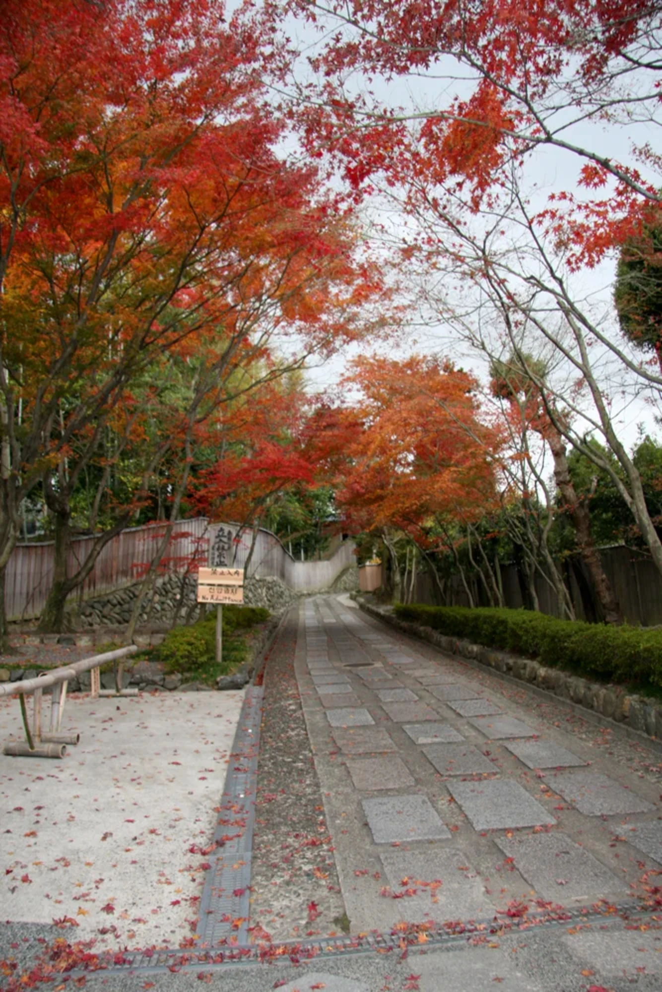 紅葉と石畳の風情がいいね