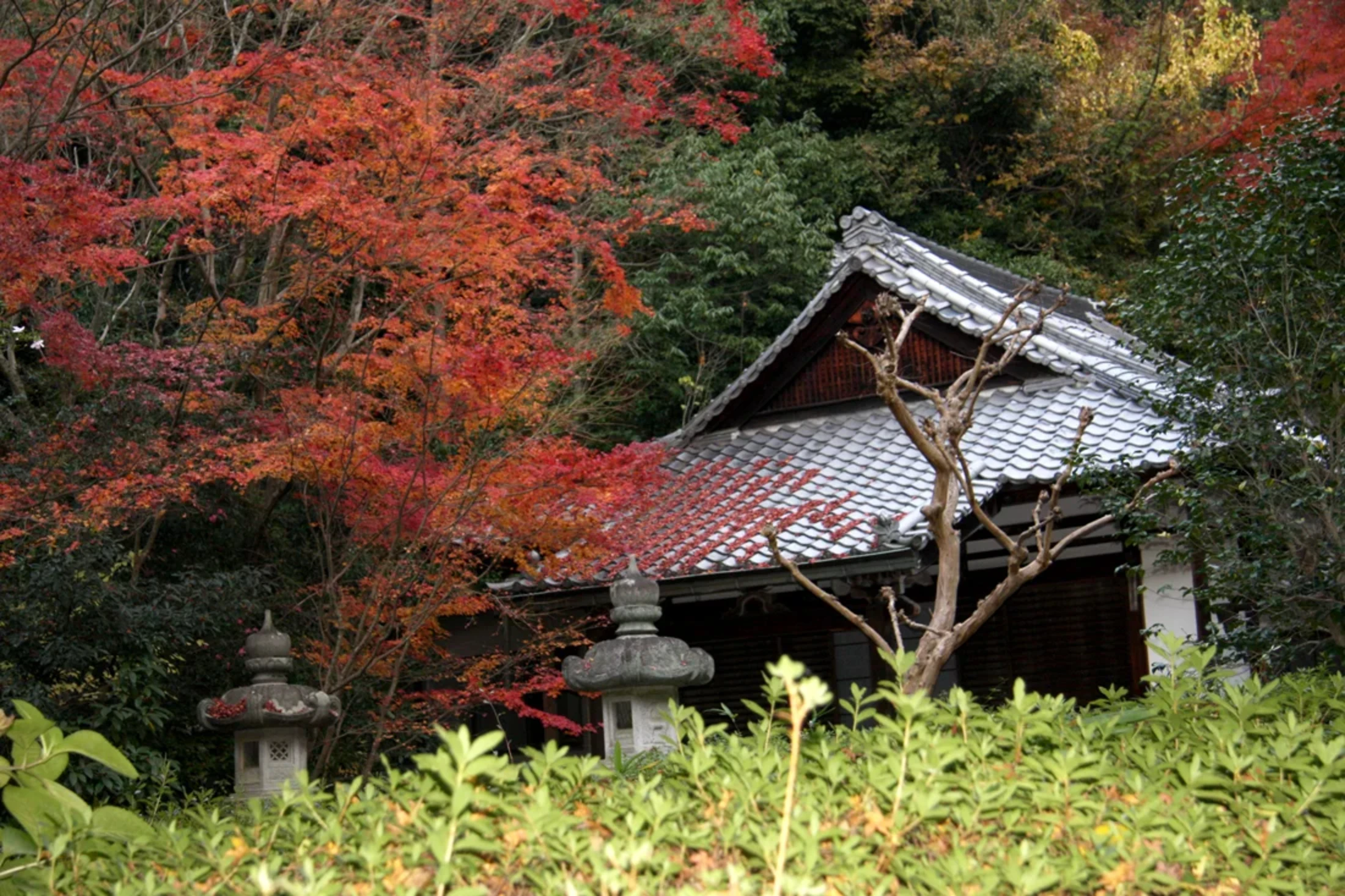 『来迎院』の敷地内