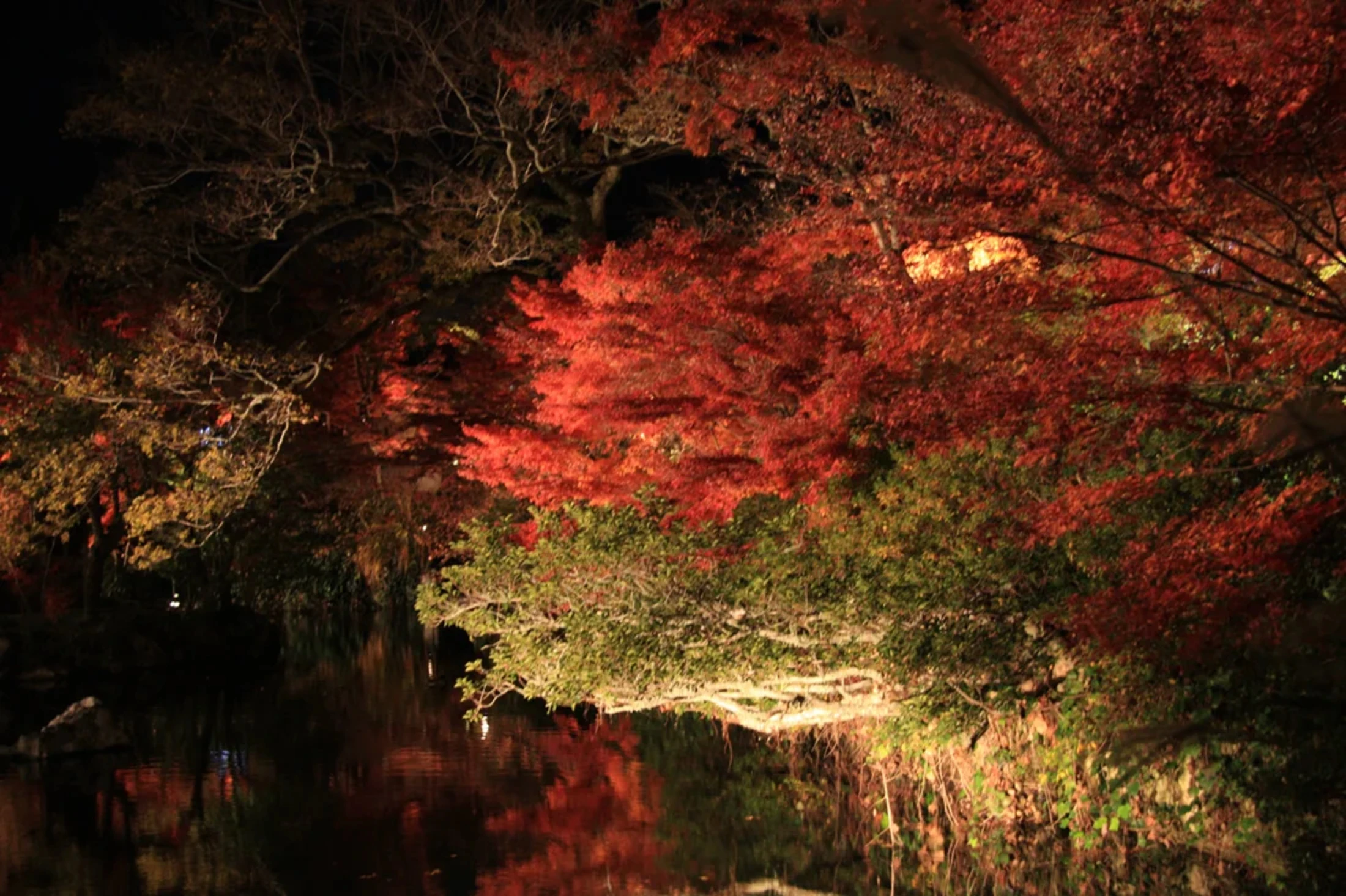 池に反射している紅葉が伝わる？