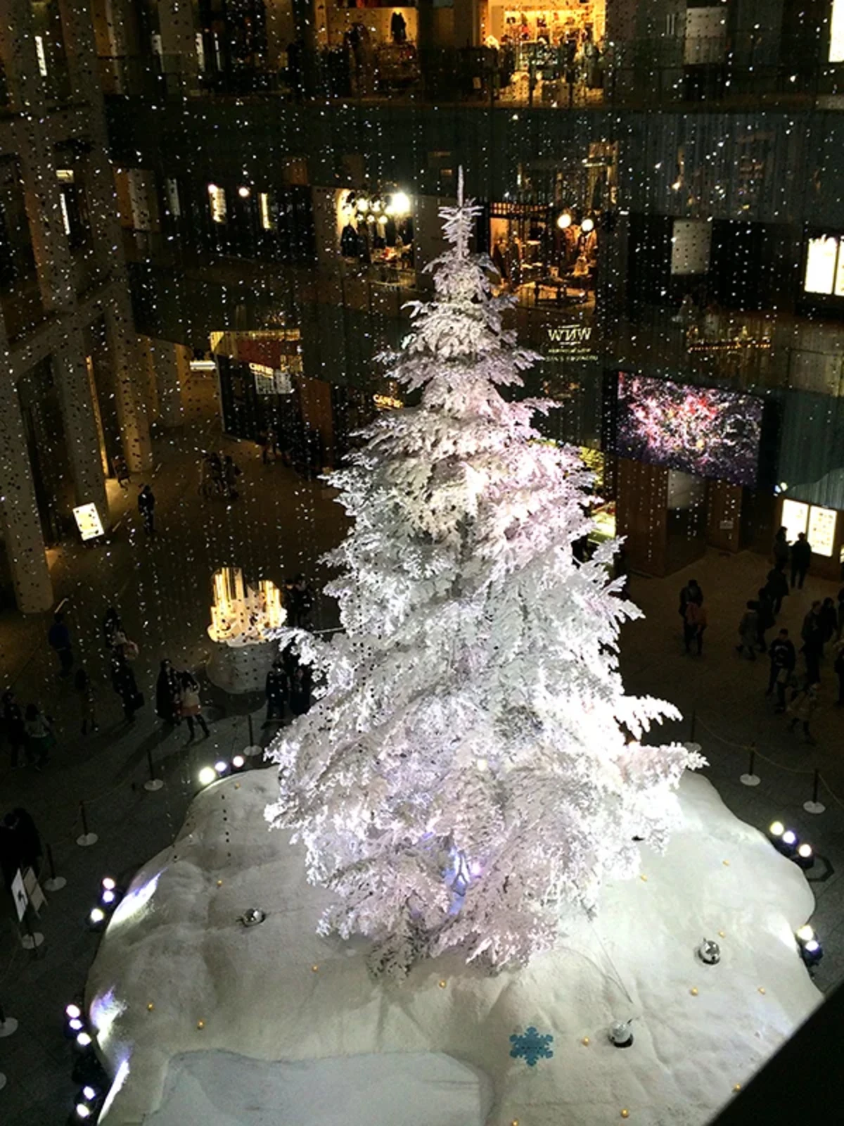 白いクリスツリーも珍しいですよね