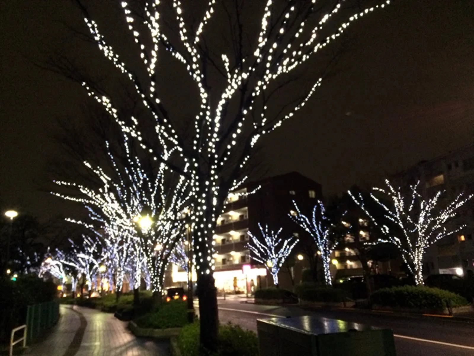 竹ノ塚駅から元渕江公園までの街灯イルミネーションを楽しみながら歩きます