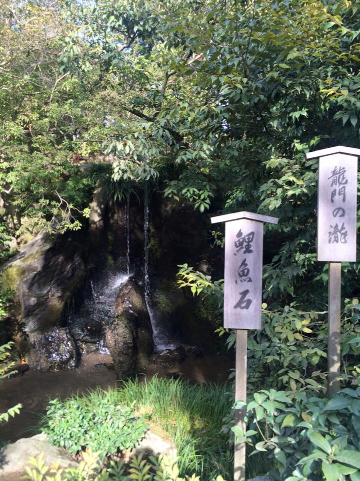kinkakuji12