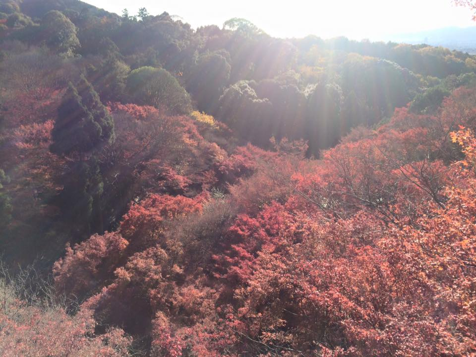 kiyomizu02