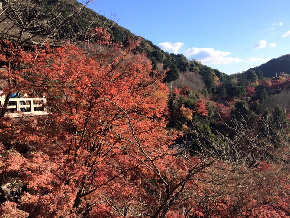 kiyomizu03