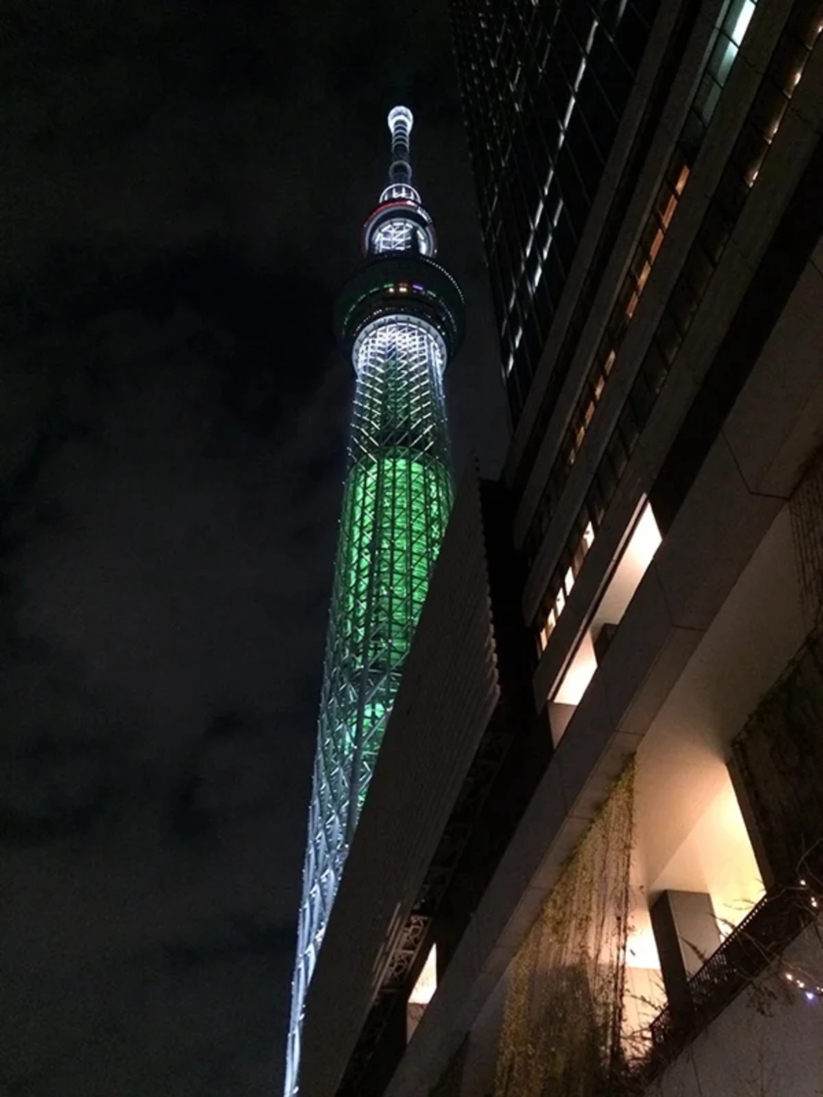 skytree (17)