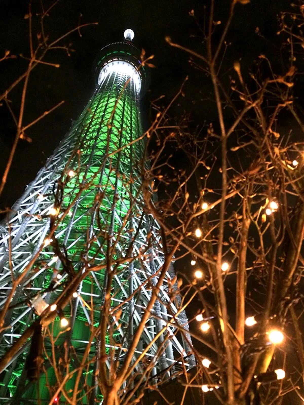 skytree (9)