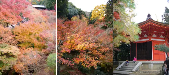 tofukuji03