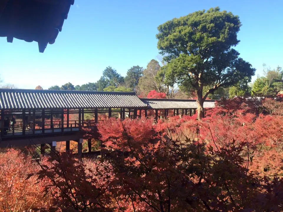 tofukuji10