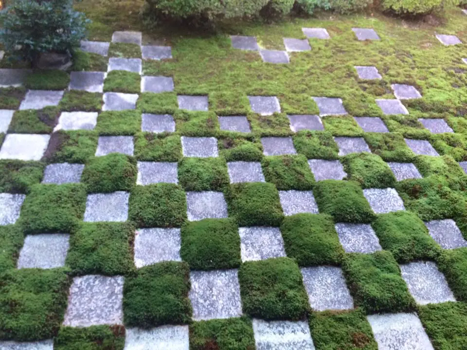 tofukuji11