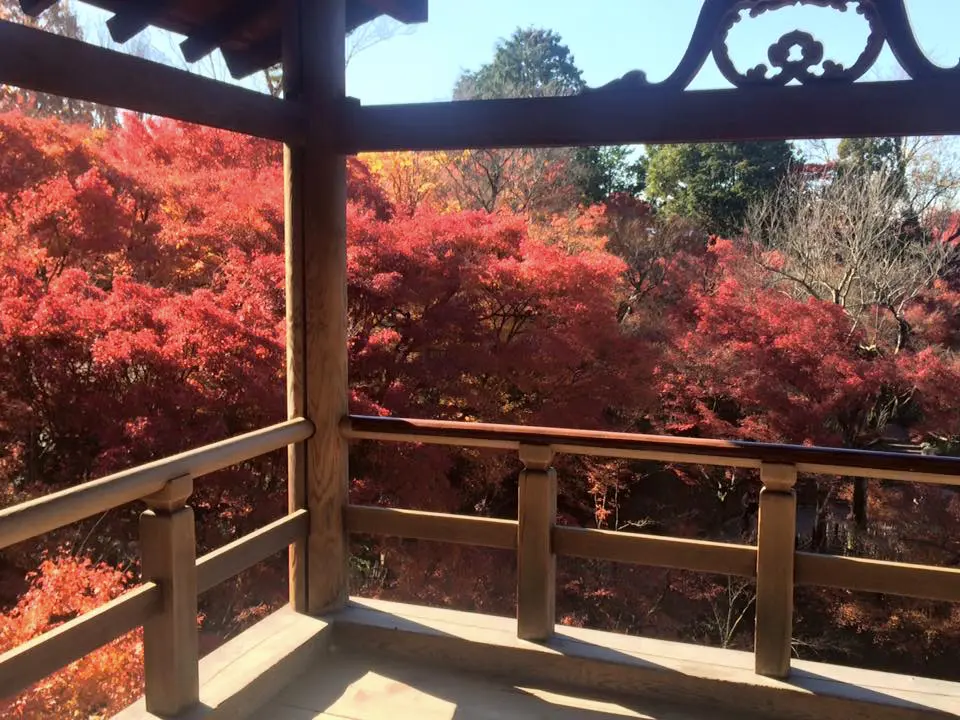tofukuji15