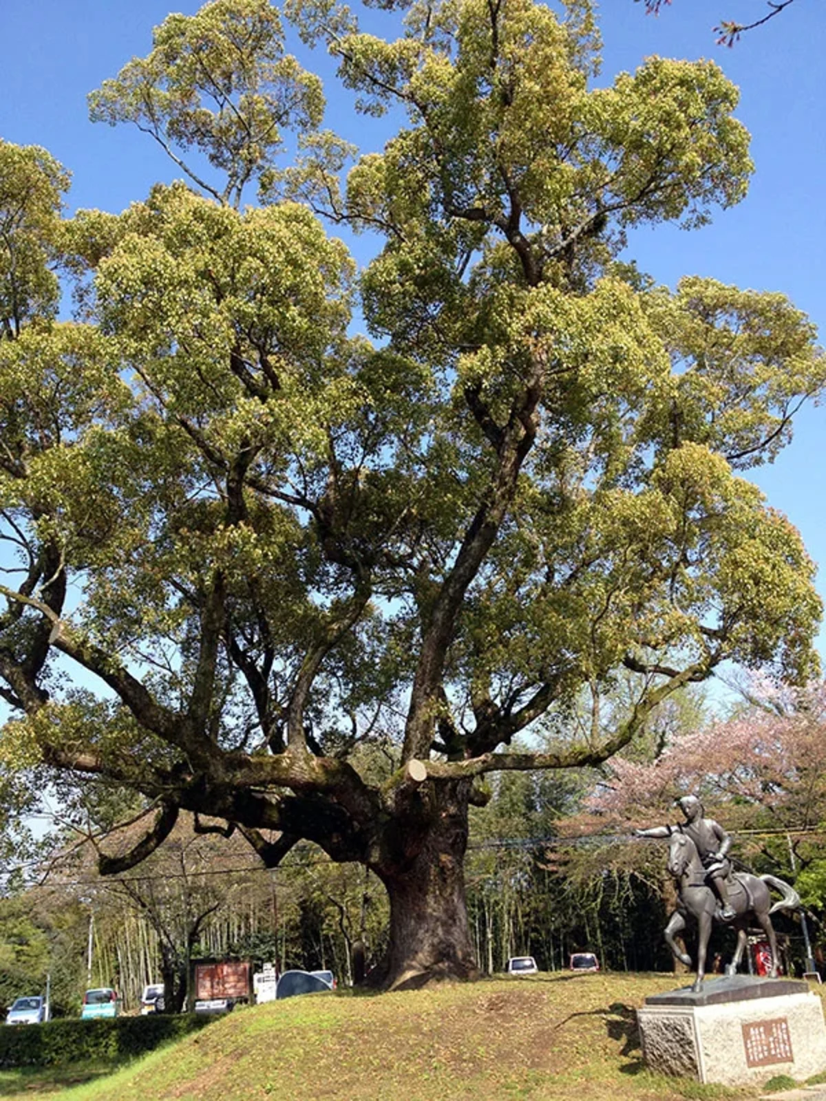 田原坂 (5)