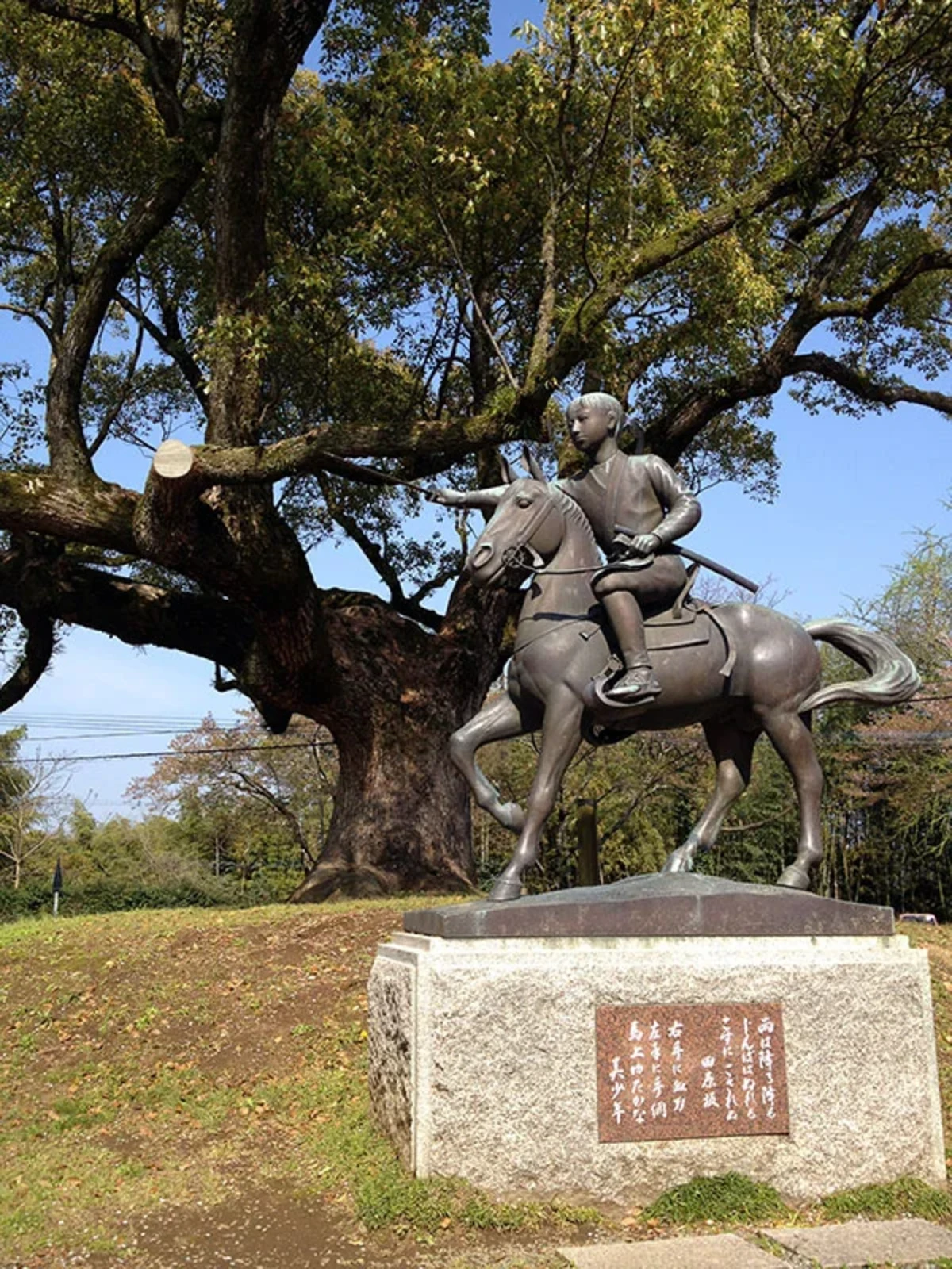 田原坂 (10)