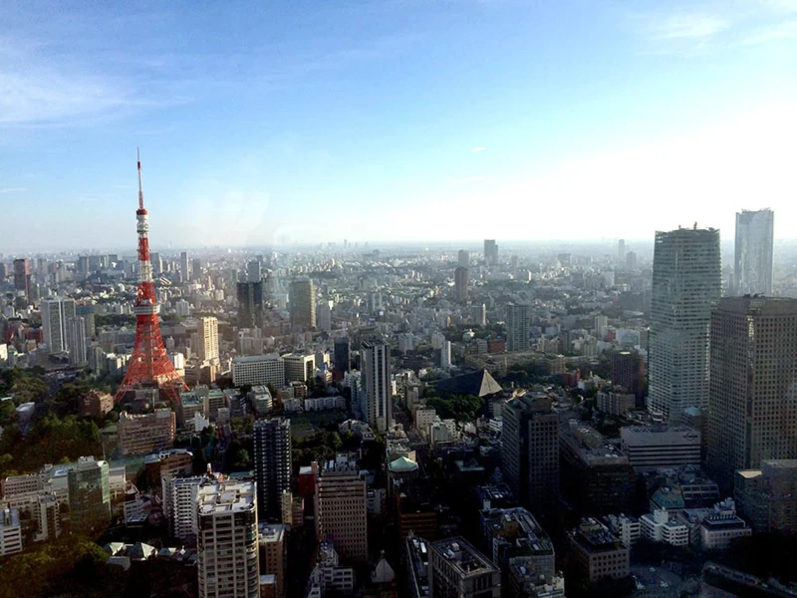 ヒルズのレストラン街から無料で見れる東京タワー側の風景