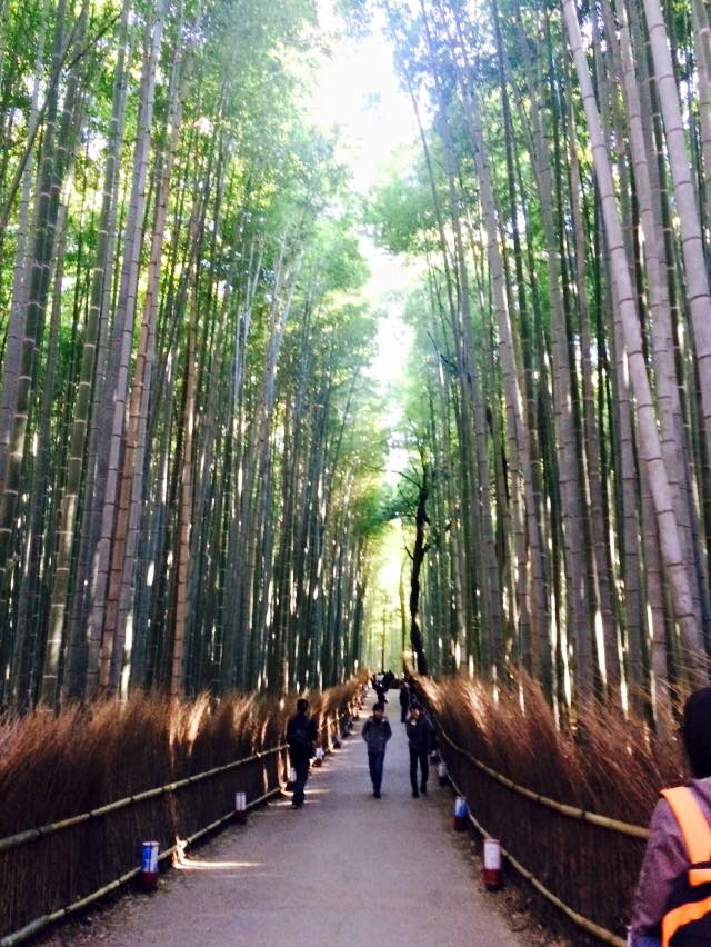 arashiyama07