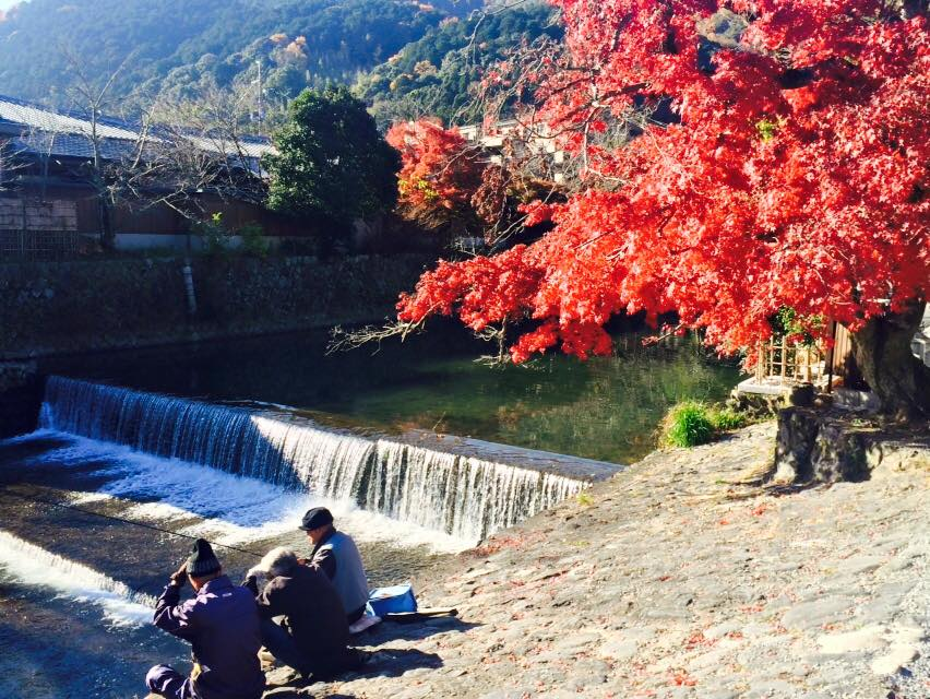 arashiyama14