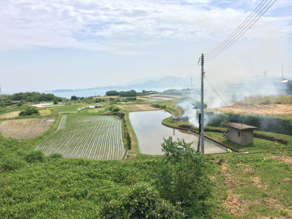 唐櫃棚田風景 (豊島棚田)