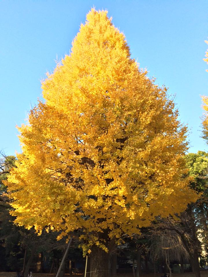 yasukuni06